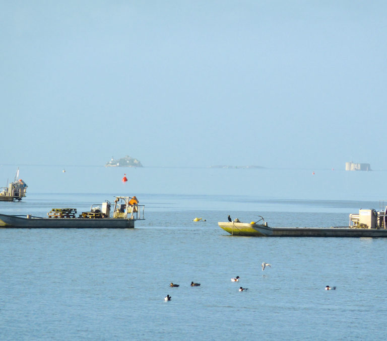 Baie-de-Morlaix