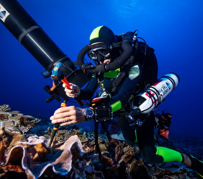 A team of Under The Pole divers focusing on sampling at 60M and 40M. Every sample is put in a plastic bag with a reference number and sent back to the surface in a bigger bag upon completion of the sampling work underwater, in order for the scientists to access the samples as fresh as possible.Une equipe de plongeurs d’Under The Pole s’attaque a une plongee d’echantillonage de coraux a 60M puis a 40M. Chaque echantillon est plac dans un sac plastique referenc, lui-meme plac dans un filet qui sera renvoy en surface grace a un parachute ds que le travail d’echantillonage sera termin afin de donner aux scientifiques des echantillons les plus frais possible.