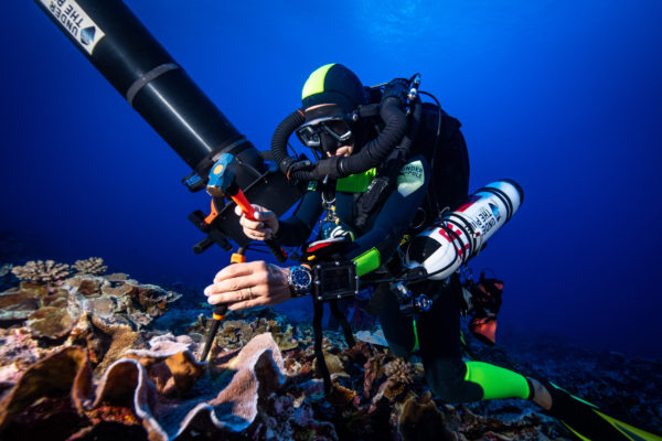 A team of Under The Pole divers focusing on sampling at 60M and 40M. Every sample is put in a plastic bag with a reference number and sent back to the surface in a bigger bag upon completion of the sampling work underwater, in order for the scientists to access the samples as fresh as possible.Une equipe de plongeurs d'Under The Pole s'attaque a une plongee d'echantillonage de coraux a 60M puis a 40M. Chaque echantillon est plac dans un sac plastique referenc, lui-meme plac dans un filet qui sera renvoy en surface grace a un parachute ds que le travail d'echantillonage sera termin afin de donner aux scientifiques des echantillons les plus frais possible.