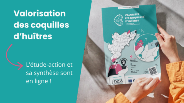 bandeau-etude-ostrei